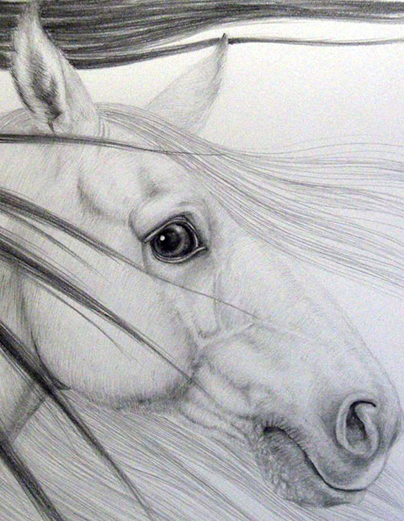 Detail: The Eyes by OTGO 2005, pencil on paper 30 x 24 cm
